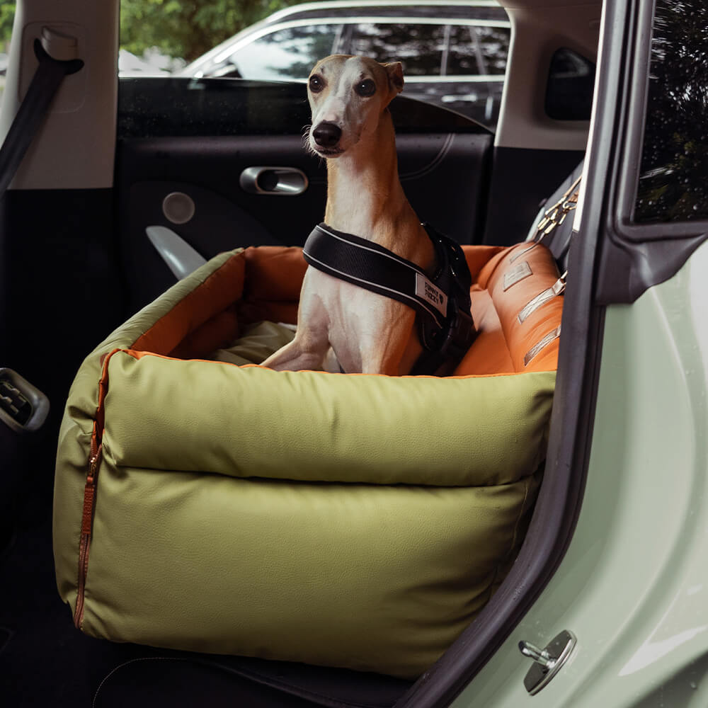 Cadeira de Auto para Cão – Conforto e Proteção