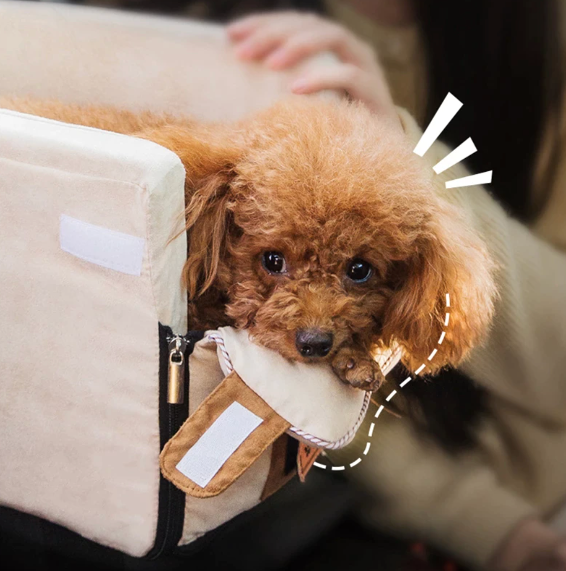Cama de Viagem para Animais de Estimação — Conforto e Serenidade em Todo Lado