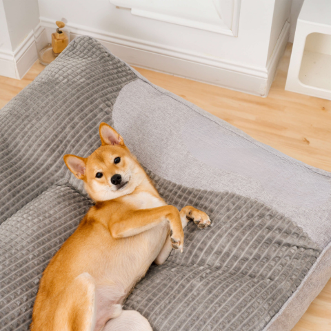 Grand Coussin Pour Chien – Confort Optimal Et Soutien Moelleux