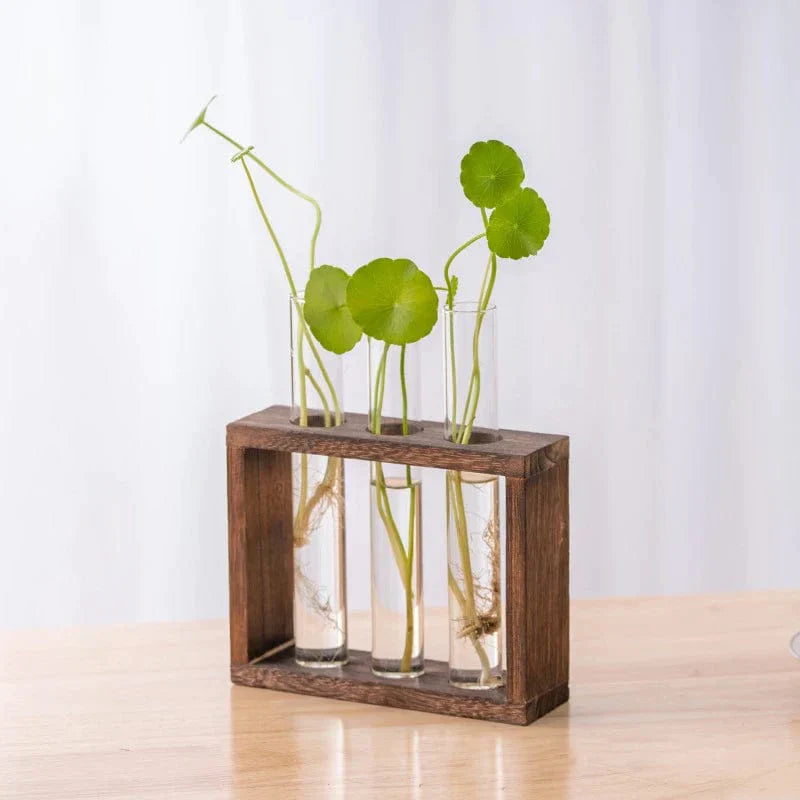 Vasi Tubolari Decorativi – Semplicità e Stile Naturale