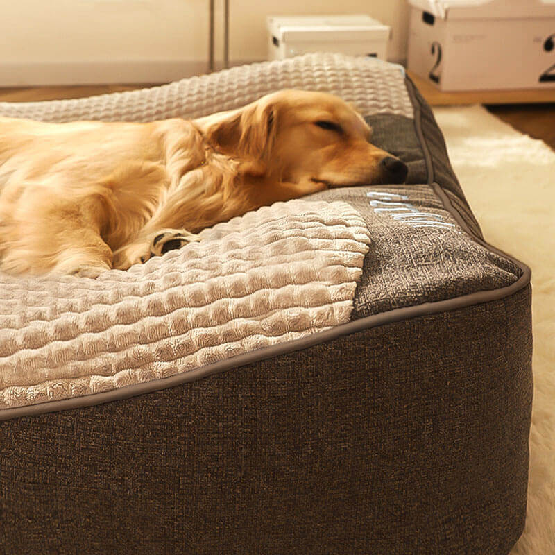 Coussin Pour Chien Résistant Aux Griffures Avec Protection Dorsale – Confort Et Durabilité