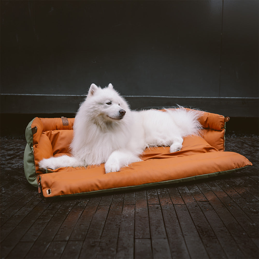Cadeira de Auto para Cão – Conforto e Proteção