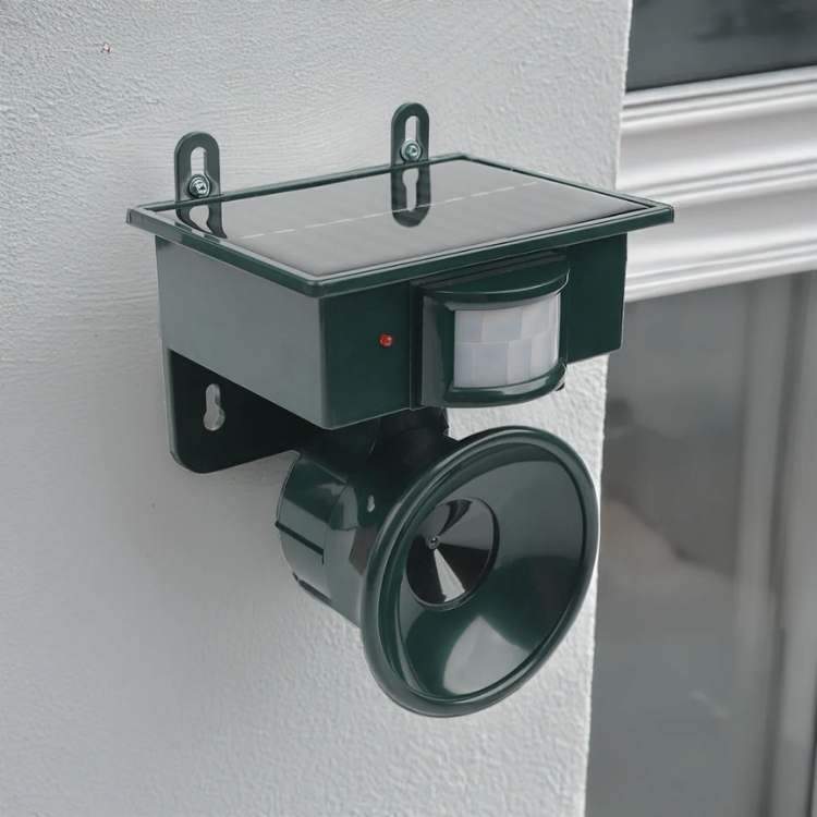 Elektronisk Afskrækningsmiddel Til Have — Jager Fugle Og Beskytter Dine Områder