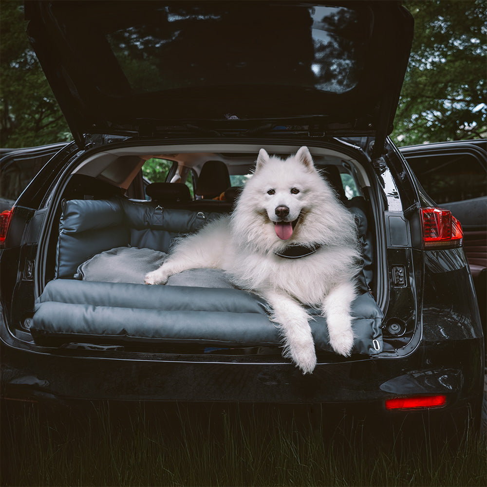 Cadeira de Auto para Cão – Conforto e Proteção