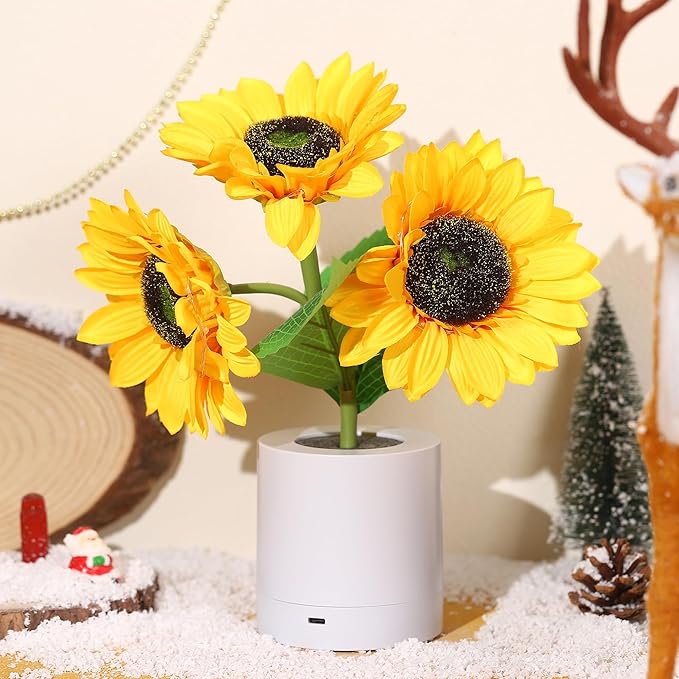 USB Rechargeable LED Table Lamp – Original and Elegant Lighting 