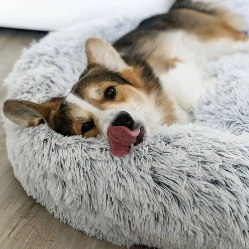 Ultra Soft Calming Bed for Pets – Comfort and Serenity 