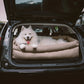 Siège Auto Pour Chien – Confort Et Protection