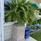 Artificial Decorative Fern – Realistic Look and Long Lasting 