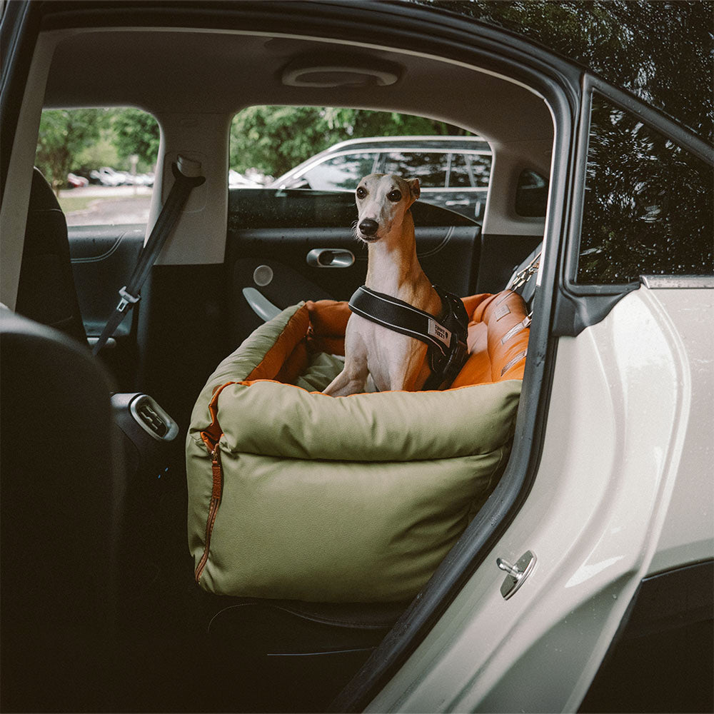 Siège Auto Pour Chien – Confort Et Protection