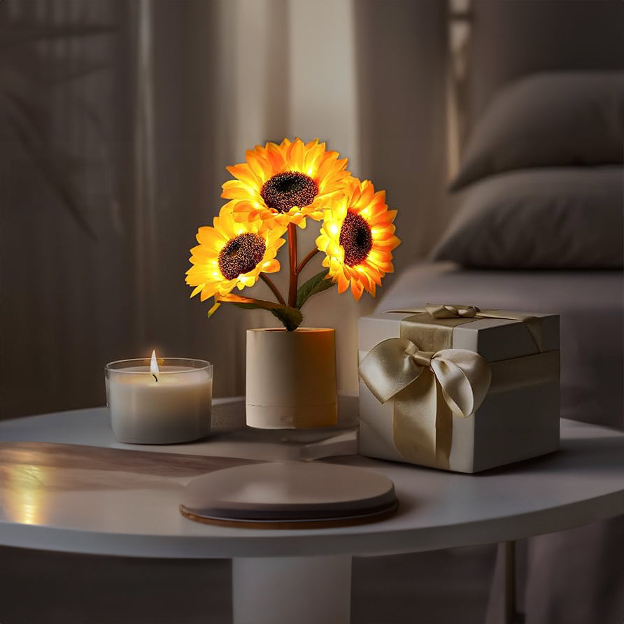 USB Rechargeable LED Table Lamp – Original and Elegant Lighting 