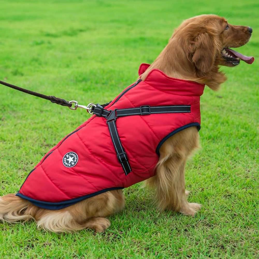 Vandtæt Parka til Hund - Beskyttelse & Stil 