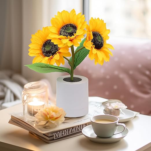 USB Rechargeable LED Table Lamp – Original and Elegant Lighting 
