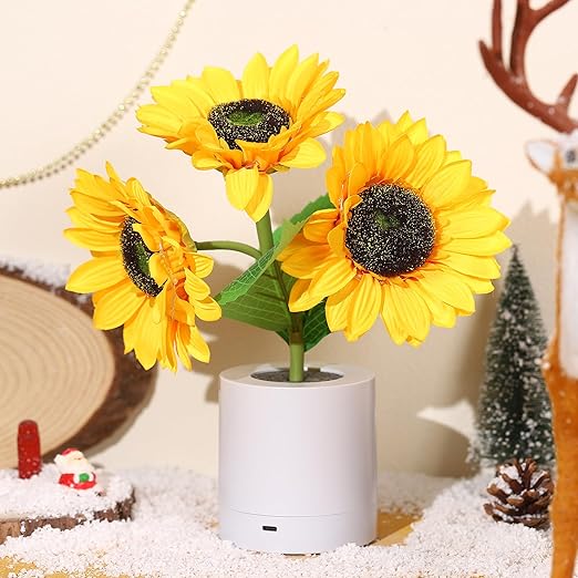 USB Rechargeable LED Table Lamp – Original and Elegant Lighting 