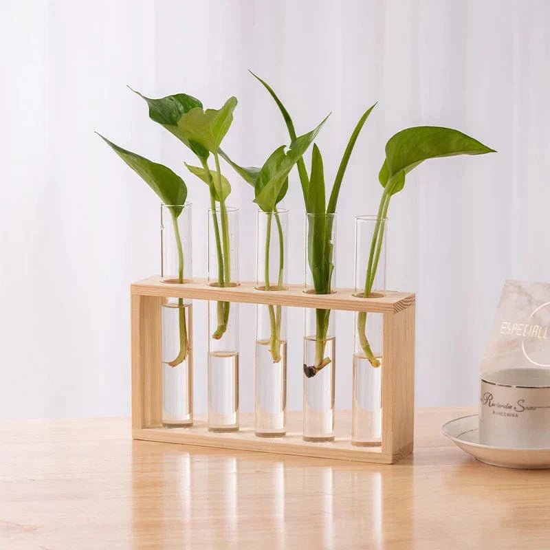 Vasos Tubos Decorativos – Simplicidade E Estilo Natural 