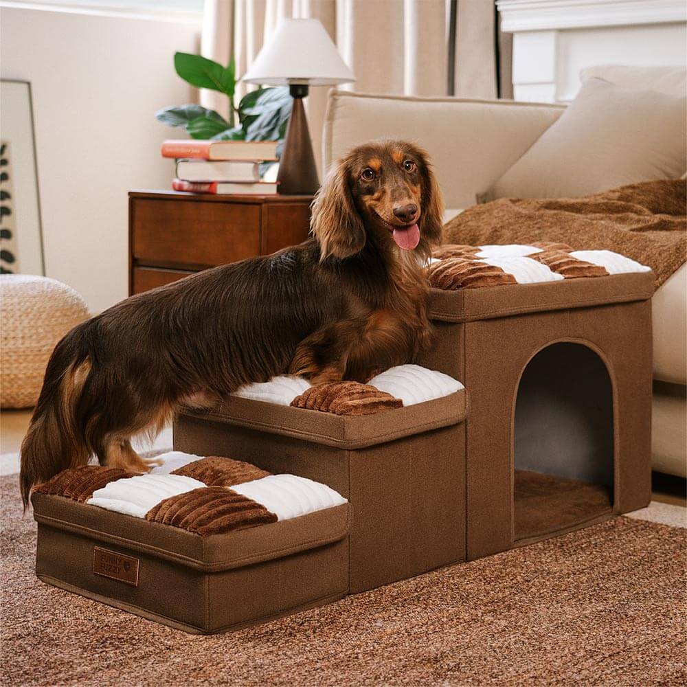Pet Stair – Easy and Secure Access 