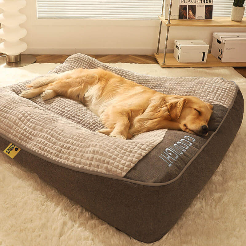 Coussin Pour Chien Résistant Aux Griffures Avec Protection Dorsale – Confort Et Durabilité