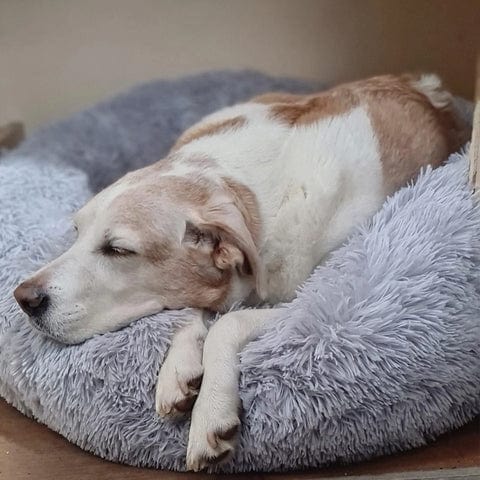 Ultra Soft Calming Bed for Pets – Comfort and Serenity 