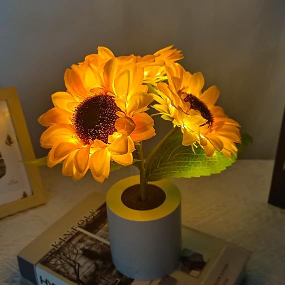 USB Rechargeable LED Table Lamp – Original and Elegant Lighting 
