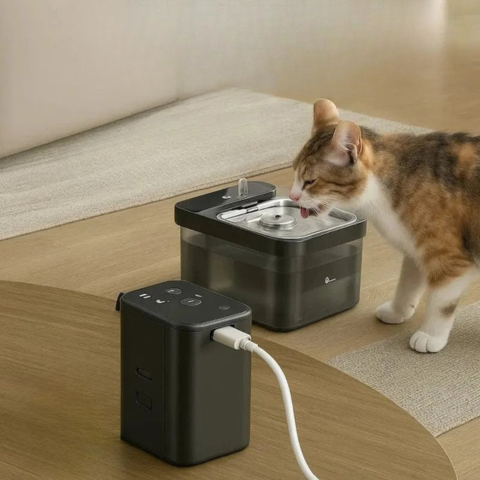 Wireless Water Fountain for Cats – Freedom and Continuous Hydration 