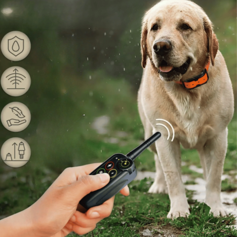 Collar de adiestramiento a distancia – Precisión y alcance óptimos 