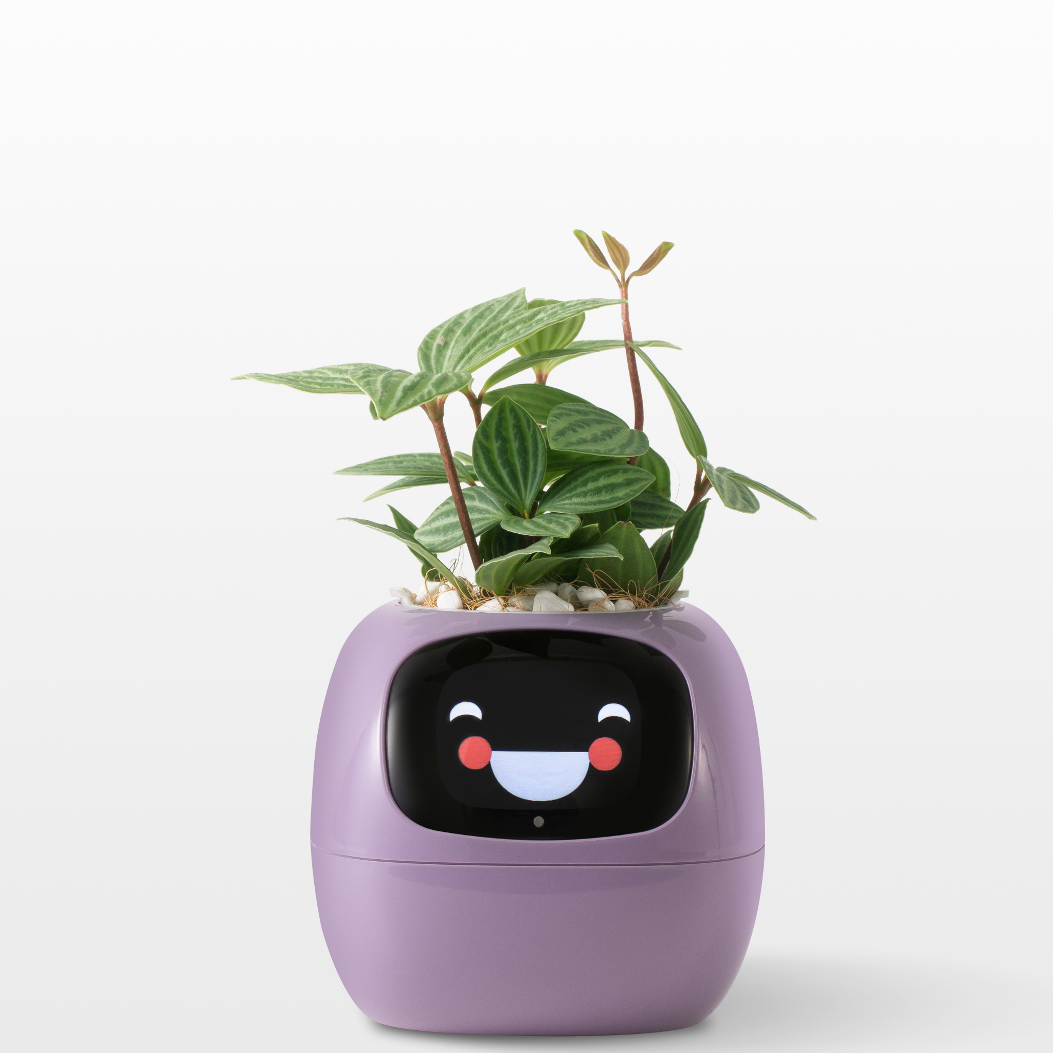 Emoji Blomsterkrukke – Original og Morsom Dekorasjon 