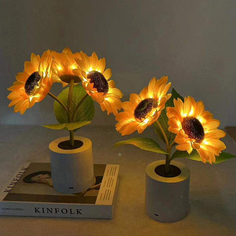 USB Rechargeable LED Table Lamp – Original and Elegant Lighting 