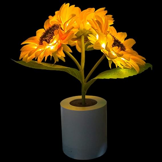 USB Rechargeable LED Table Lamp – Original and Elegant Lighting 