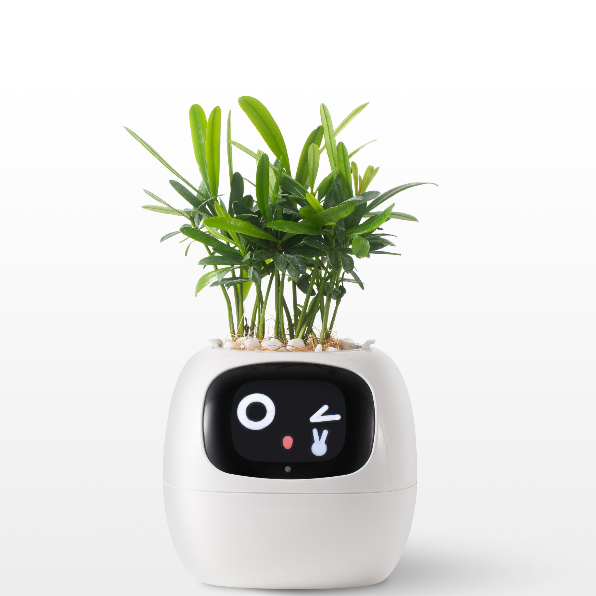Emoji Blomsterkrukke – Original og Morsom Dekorasjon 