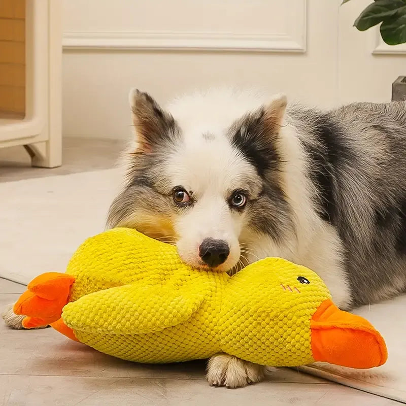 犬用おもちゃアヒル – 遊びとリラックスの相棒 